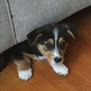 Meet your Posher, Raquel